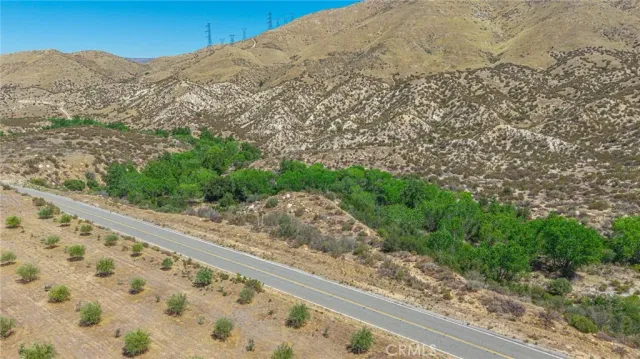 a view of a mountain with a forest