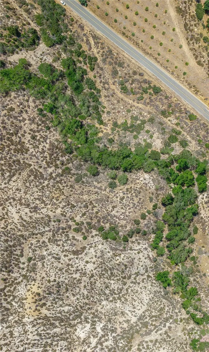 0 Aliso Canyon Acton, CA 93510 - Photo 33 of 34 a view of a yard with a plants