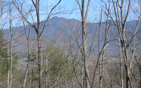 Lot 9 Morgan Ridge Drive Young Harris, GA 30582 - Photo 1 of 1 Main View