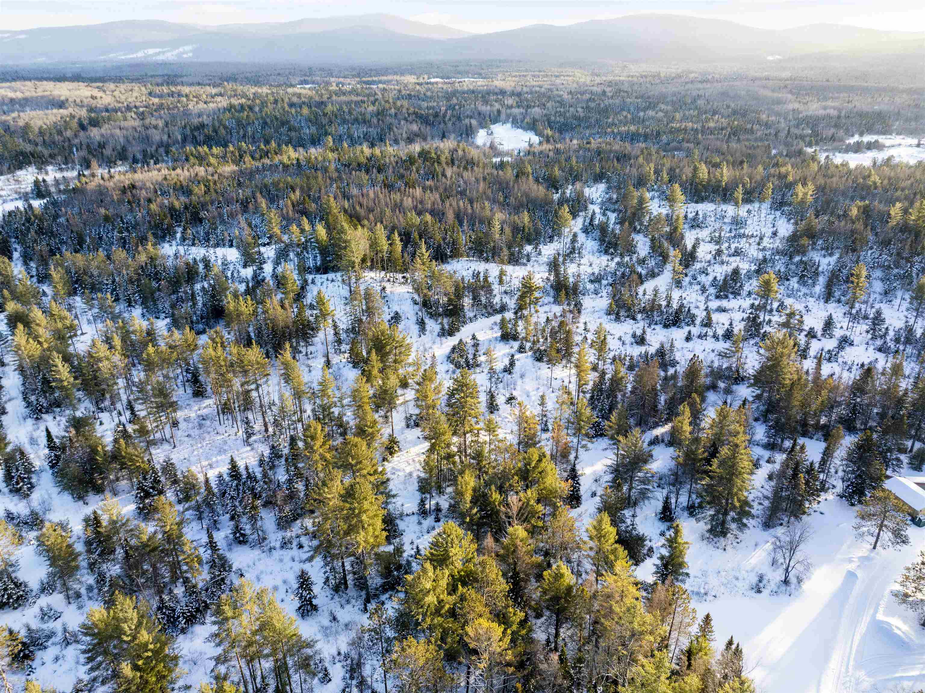 0 Head Of The Pond Road Island Pond, VT 05846 - Photo 1 of 17