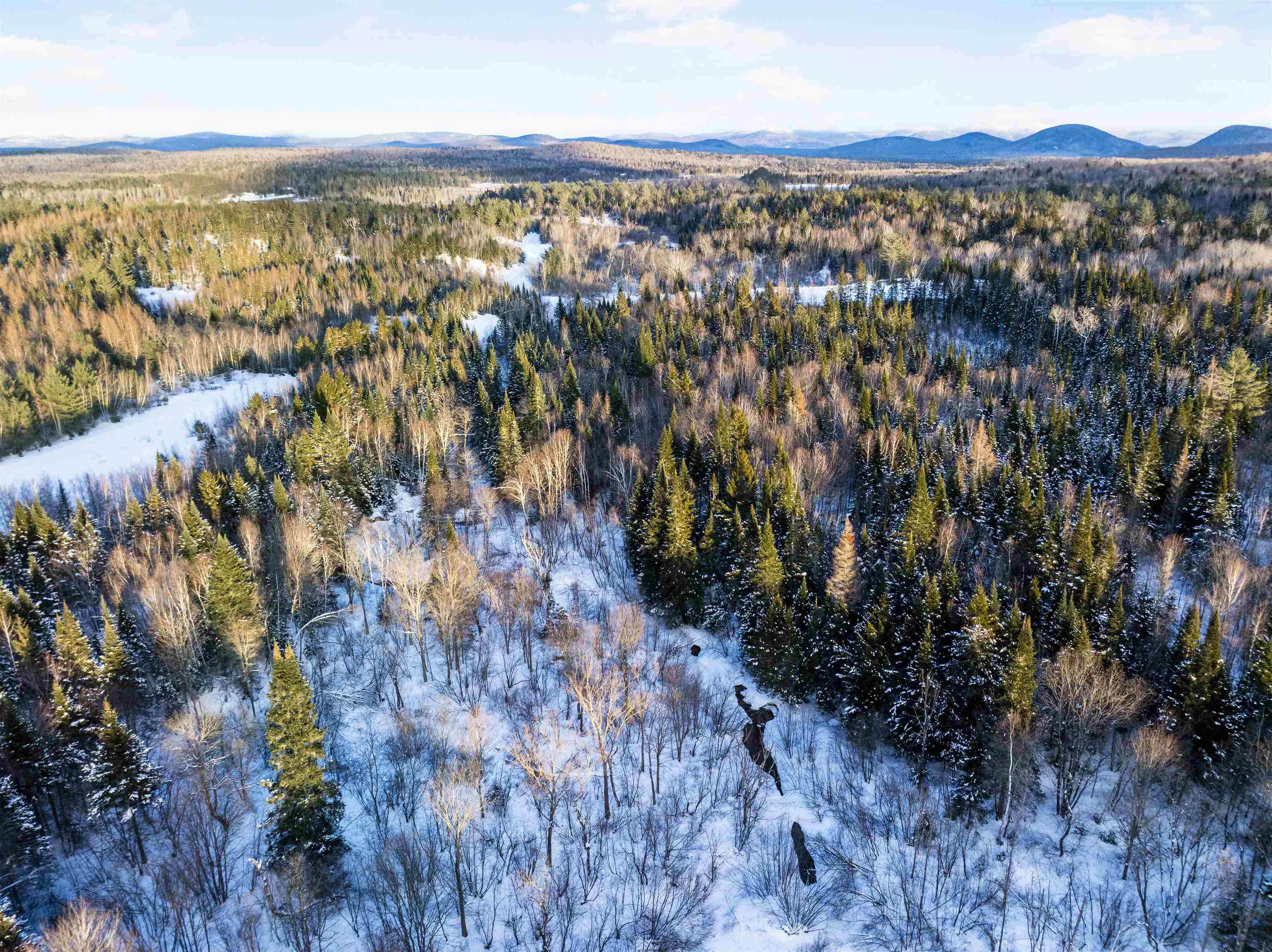 0 Head Of The Pond Road Island Pond, VT 05846 - Photo 6 of 17