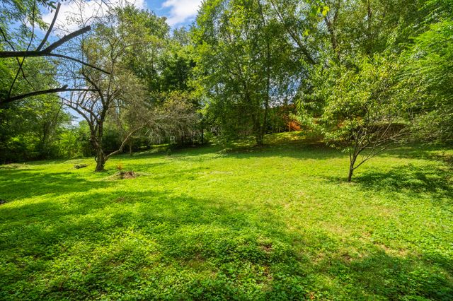 a view of a tree in a yard