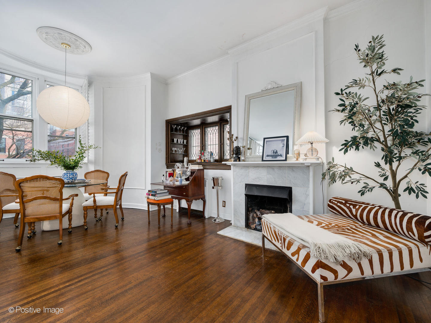 1450 North Dearborn Street, Unit 3A Chicago, IL 60610 - Photo 5 of 17 a living room with furniture and a fireplace