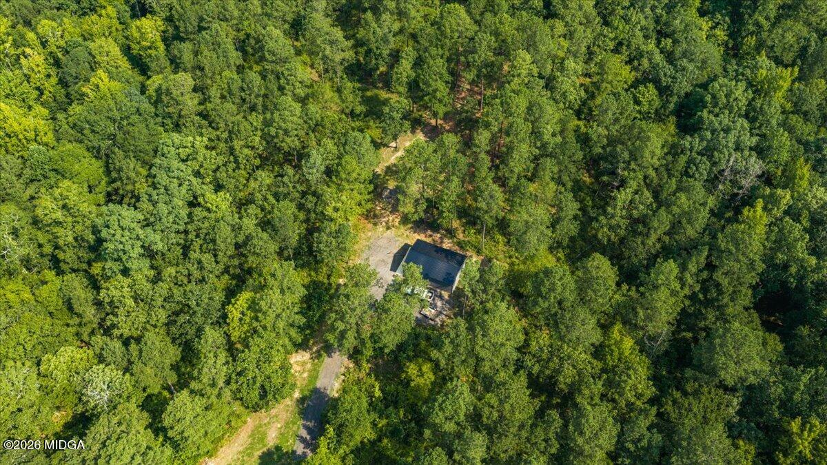 252 Rum Creek Road Juliette, GA 31046 - Photo 68 of 72 48-DJI_20260728225426_0021_D