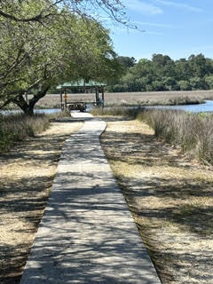 4291 Jacobs Pt Court Ravenel, SC 29470 - Photo 38 of 45 dock5
