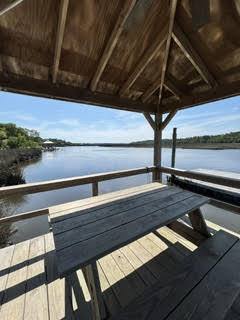4291 Jacobs Pt Court Ravenel, SC 29470 - Photo 39 of 45 dock3