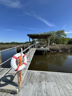 4291 Jacobs Pt Court Ravenel, SC 29470 - Photo 40 of 45 dock2