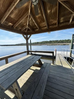 4291 Jacobs Pt Court Ravenel, SC 29470 - Photo 4 of 45 dock4