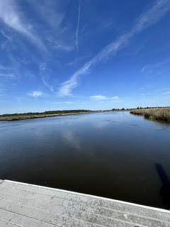 4291 Jacobs Pt Court Ravenel, SC 29470 - Photo 41 of 45 dock1