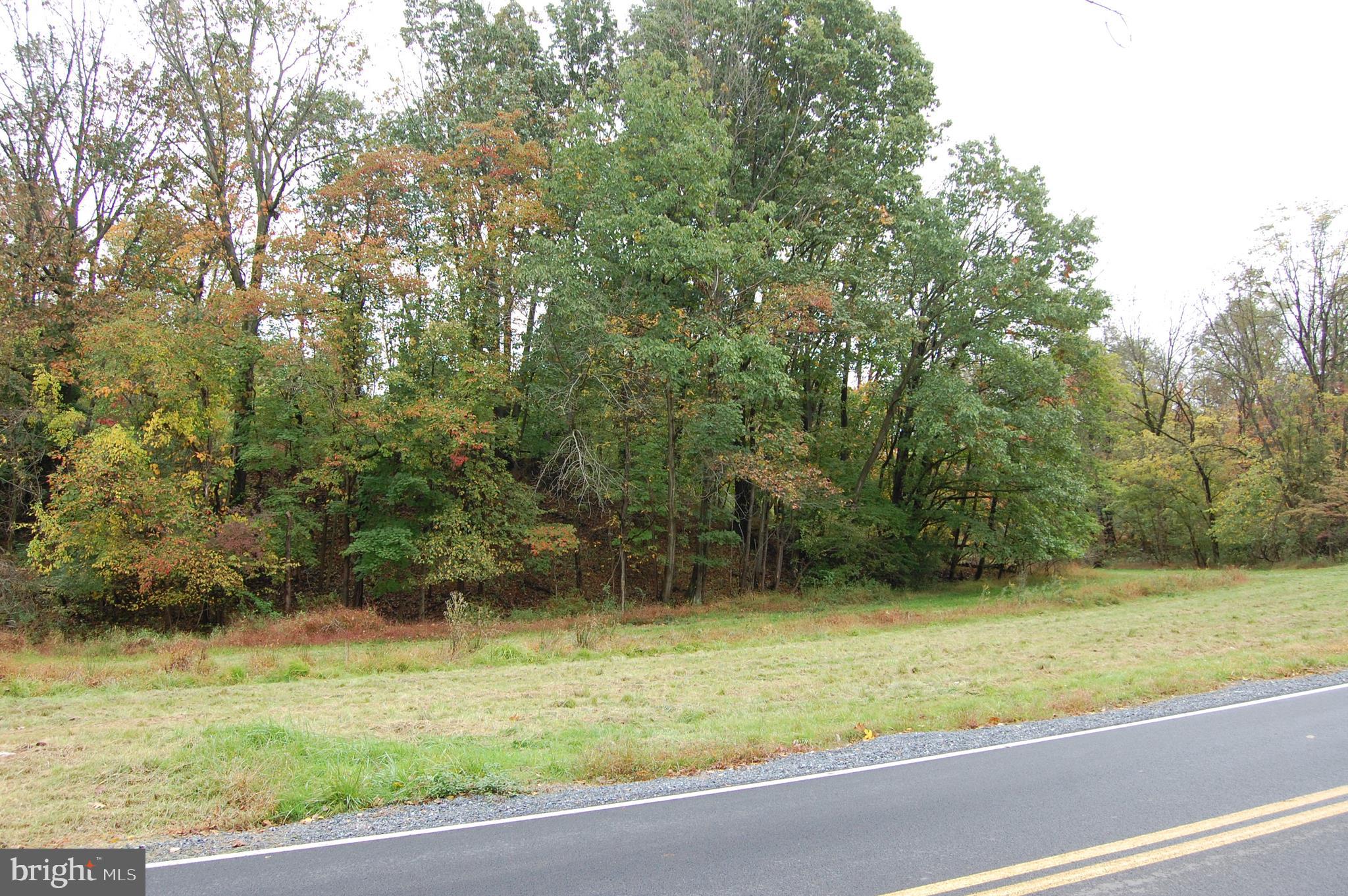 855 East Neversink Road Reading, PA 19606 - Photo 4 of 27 Gallery Image 4