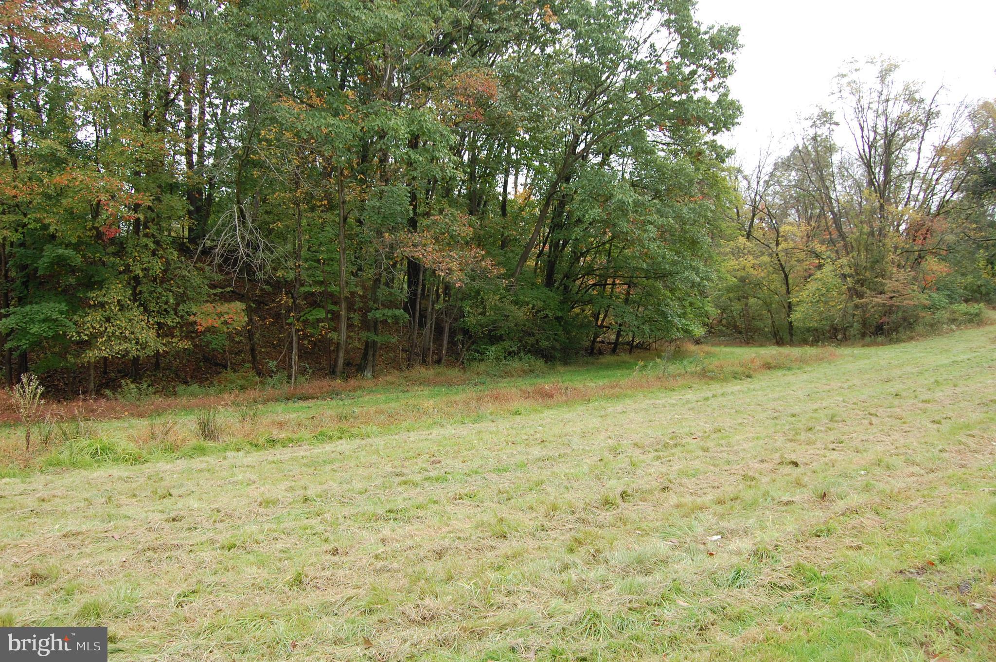 855 East Neversink Road Reading, PA 19606 - Photo 5 of 27 Gallery Image 5