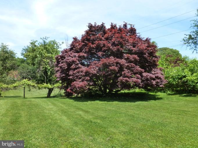1477 Fairfield Loop Road Crownsville, MD 21032 - Photo 3 of 5 Beautiful Mature Trees