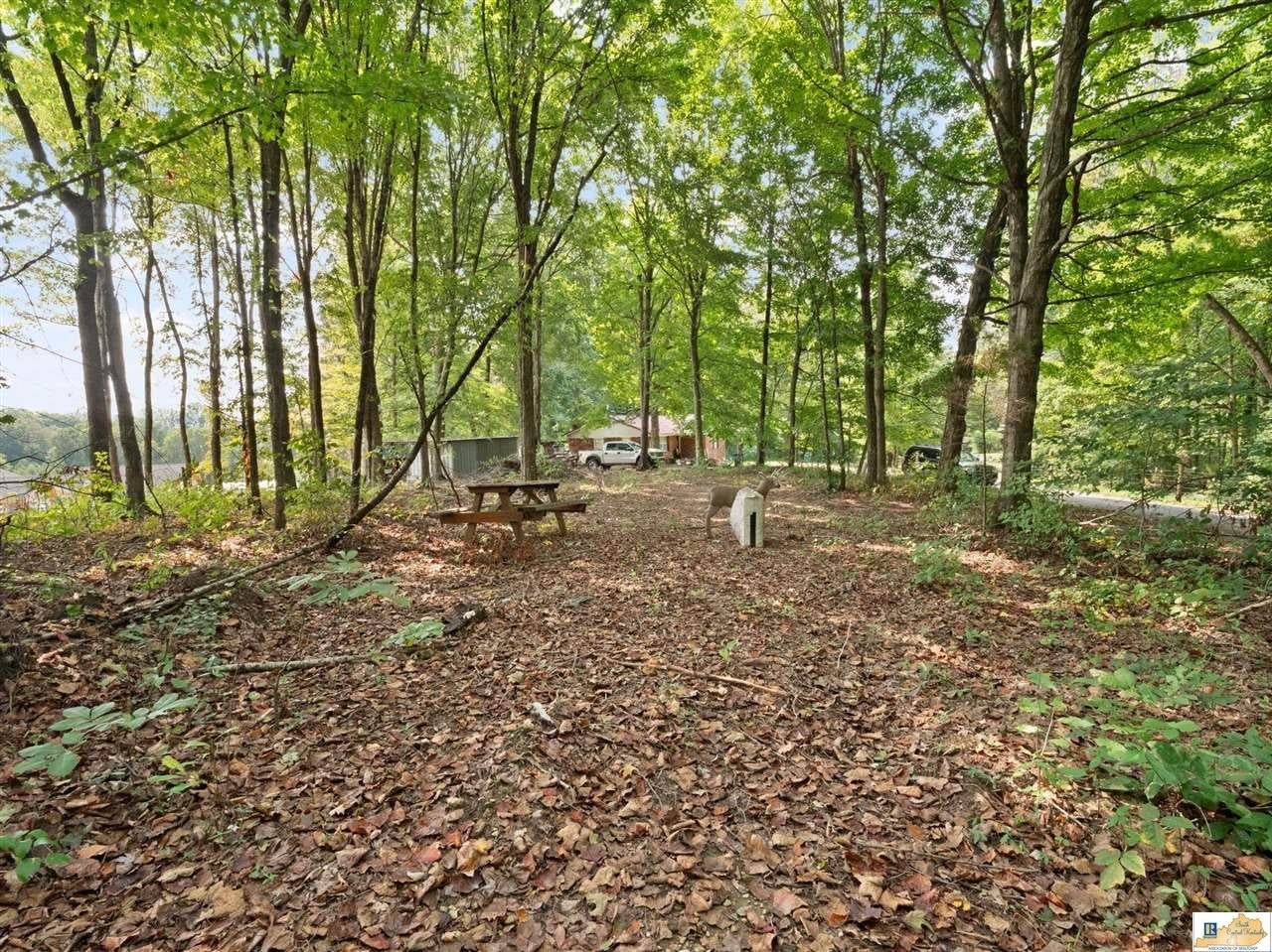 131 Wayne Poynter Road Edmonton, KY 42129 - Photo 60 of 63 Gallery Image 60