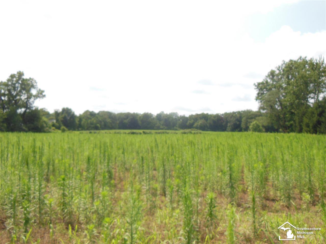 Parcel 3 Wells Road Petersburg, MI 49270 - Photo 2 of 6