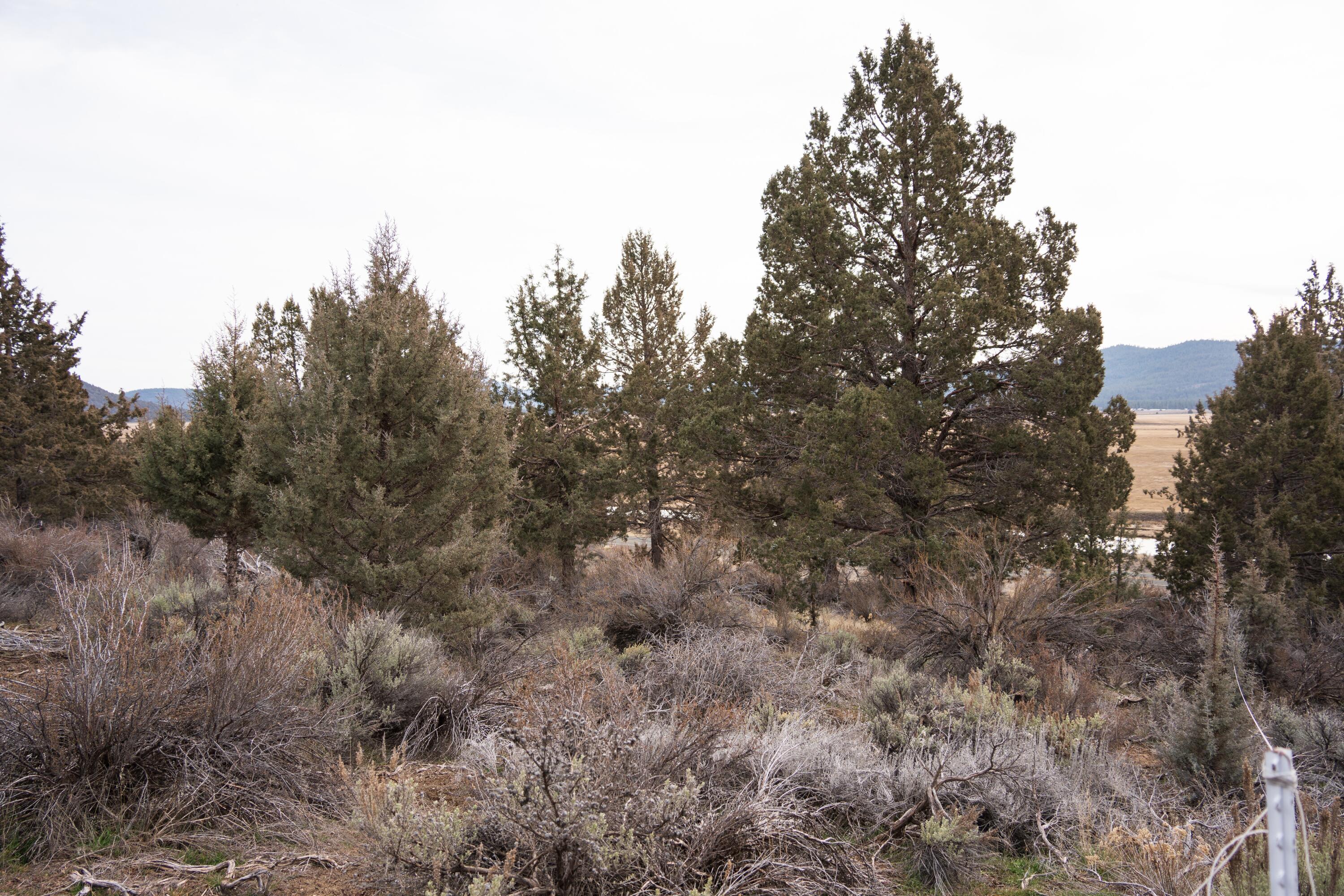 28319 Drews Road Chiloquin, OR 97624 - Photo 10 of 13