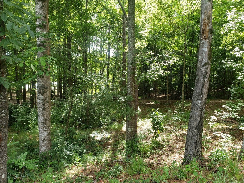 0 Cross Creek Road Auburn, AL 36832 - Photo 4 of 4 Gallery Image 4