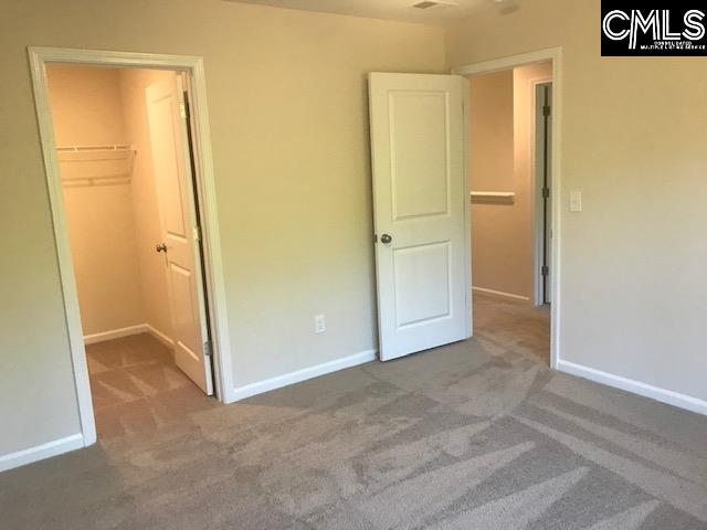 1375 Tamarind Lane Chapin, SC 29036 - Photo 17 of 18