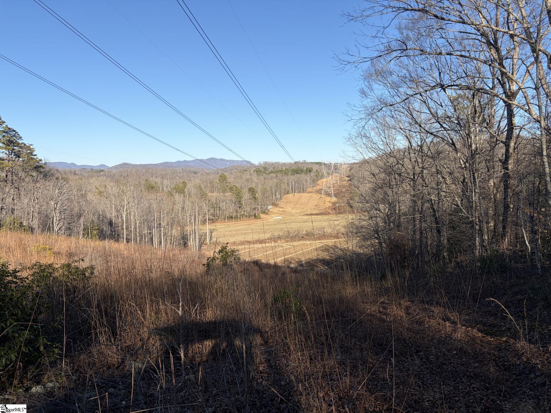 539 Hart Cut Road Marietta, SC 29661 - Photo 2 of 10