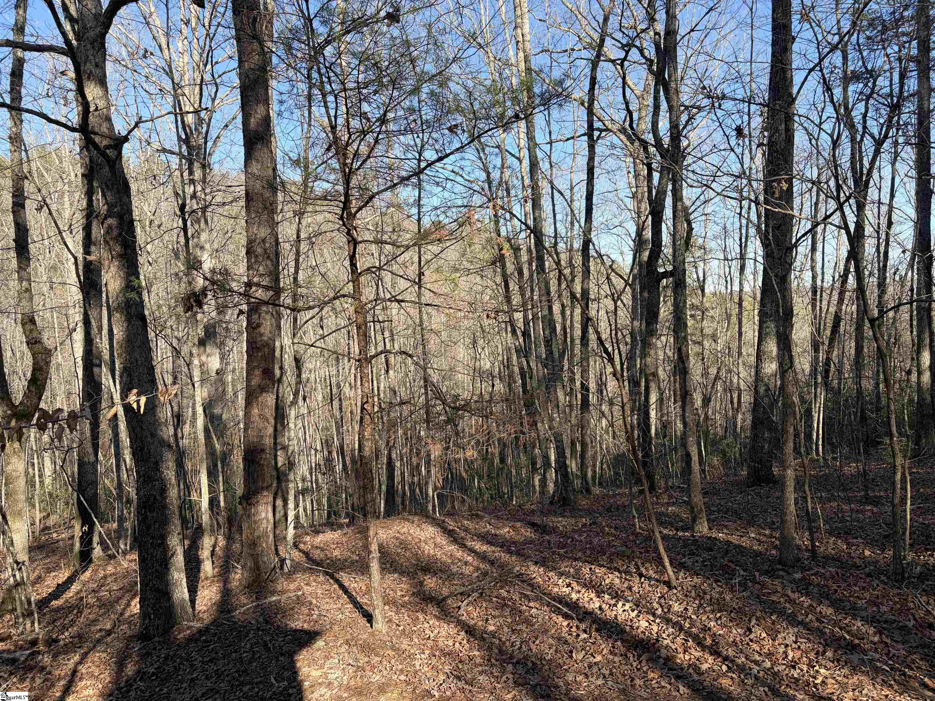 539 Hart Cut Road Marietta, SC 29661 - Photo 3 of 10