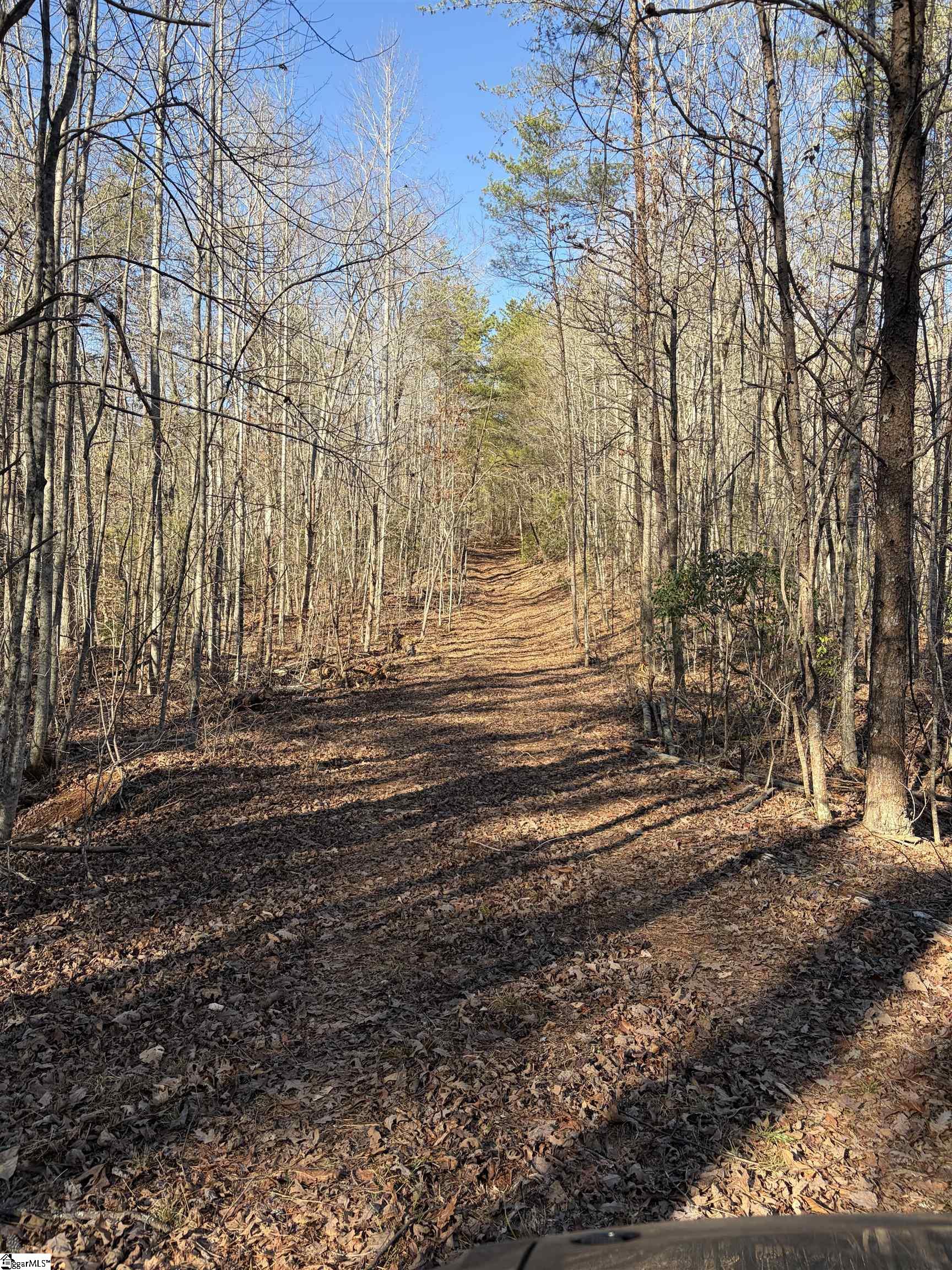 539 Hart Cut Road Marietta, SC 29661 - Photo 4 of 10