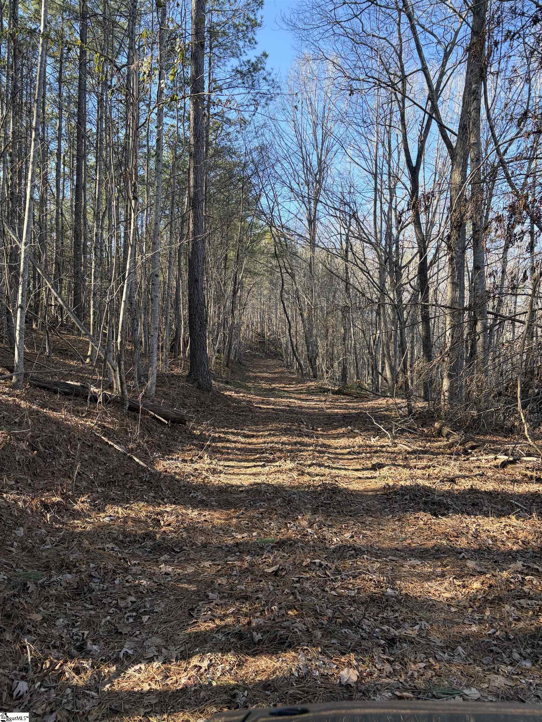 539 Hart Cut Road Marietta, SC 29661 - Photo 5 of 10