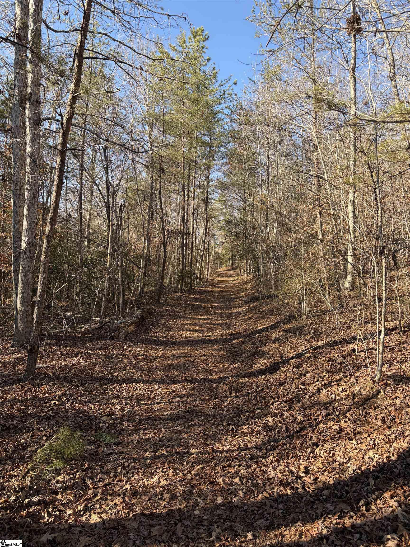 539 Hart Cut Road Marietta, SC 29661 - Photo 6 of 10