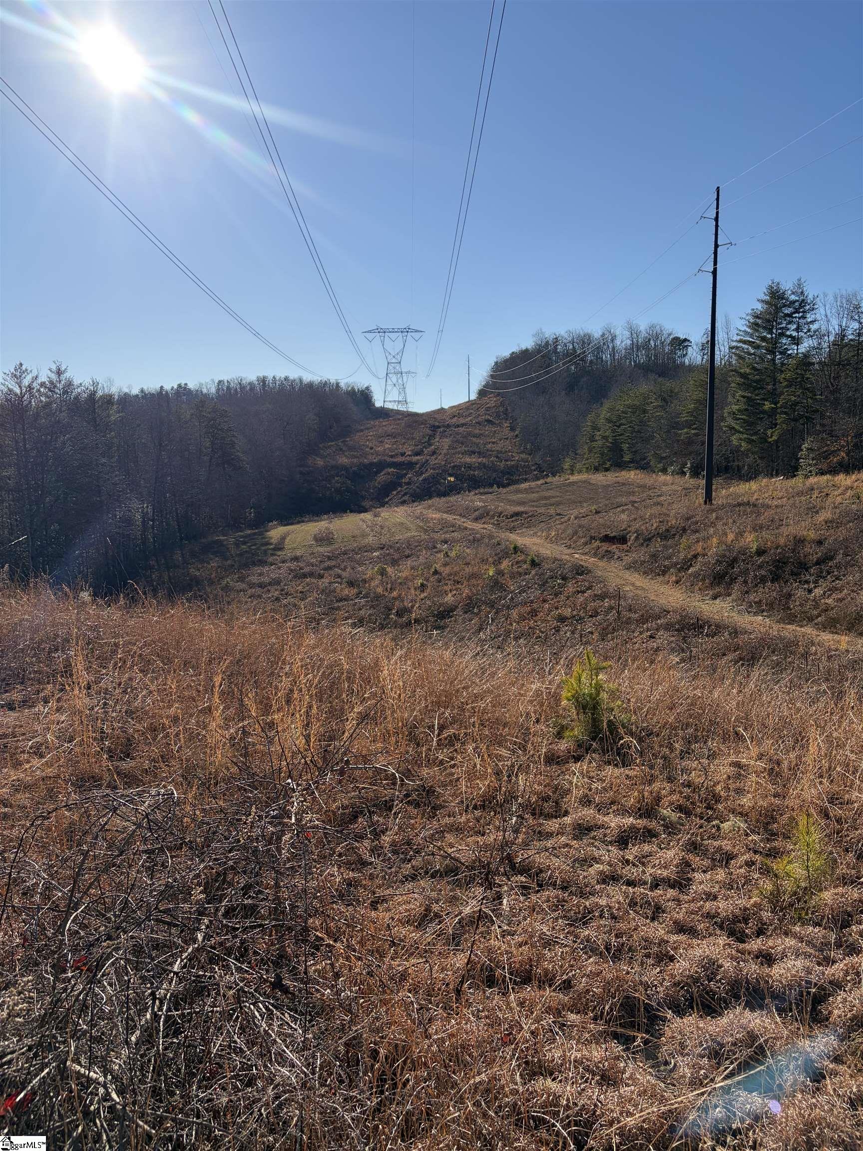 539 Hart Cut Road Marietta, SC 29661 - Photo 7 of 10