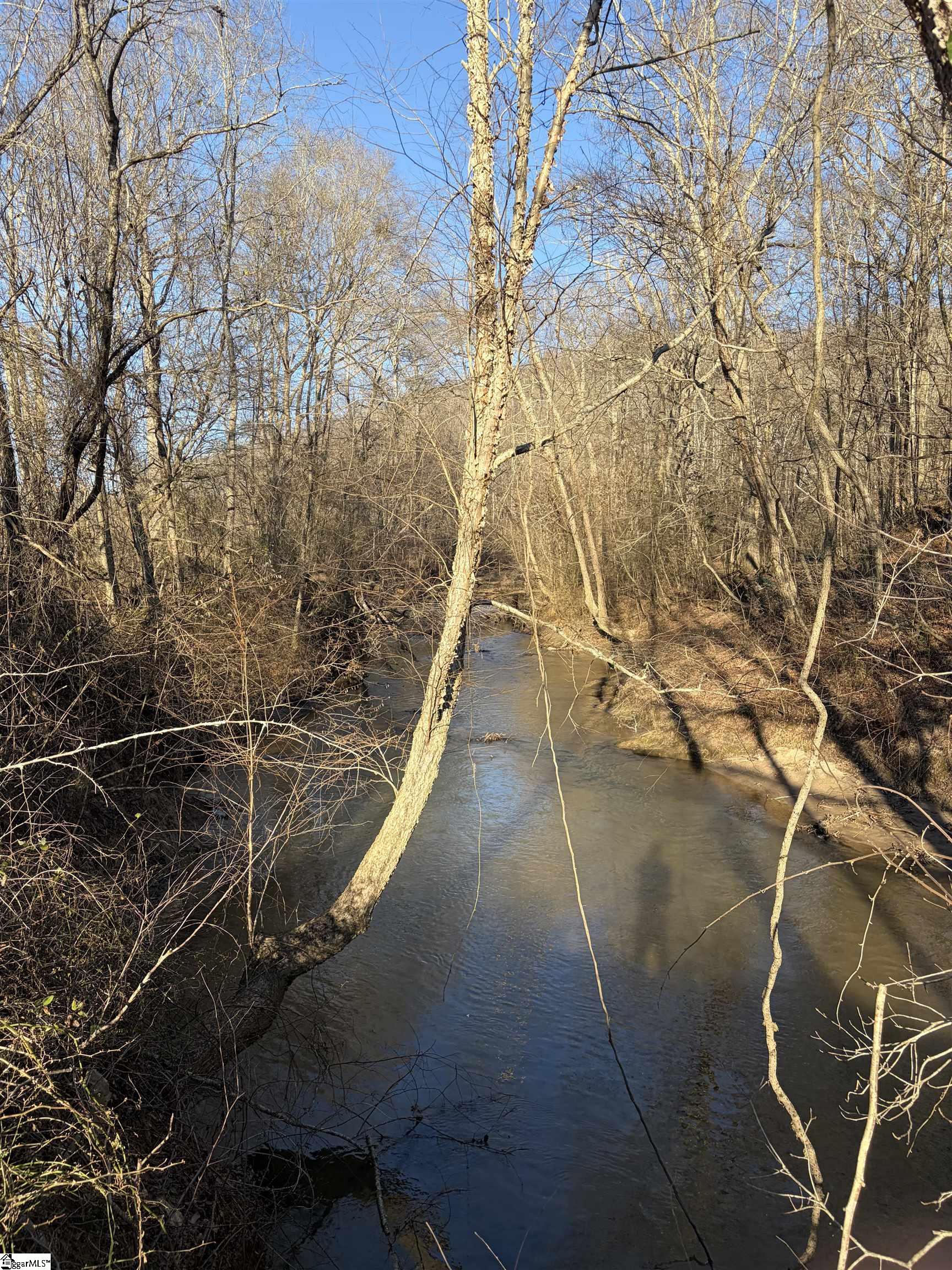 539 Hart Cut Road Marietta, SC 29661 - Photo 9 of 10