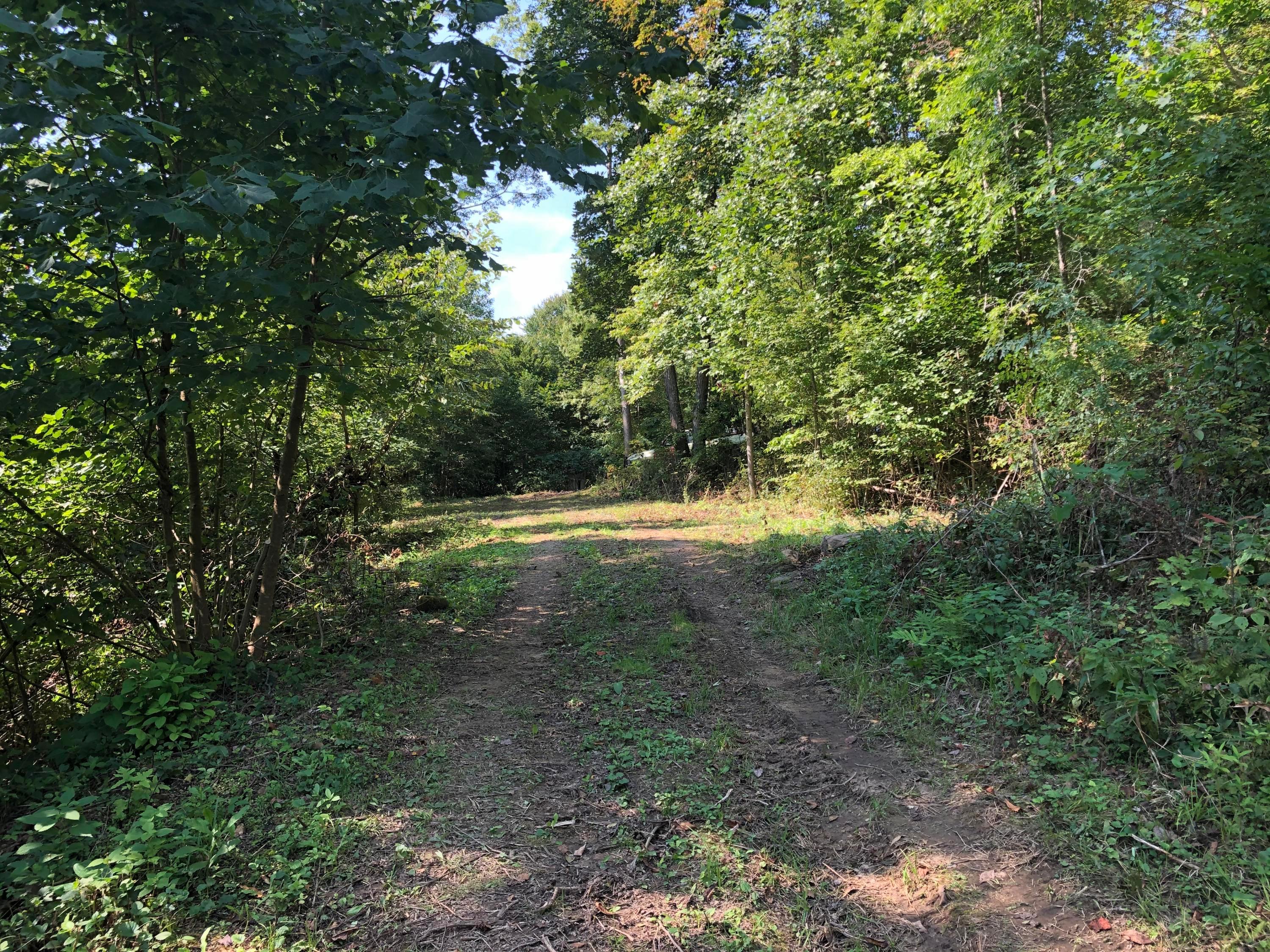 0 Murphy Remy Road Ray, OH 45672 - Photo 21 of 39