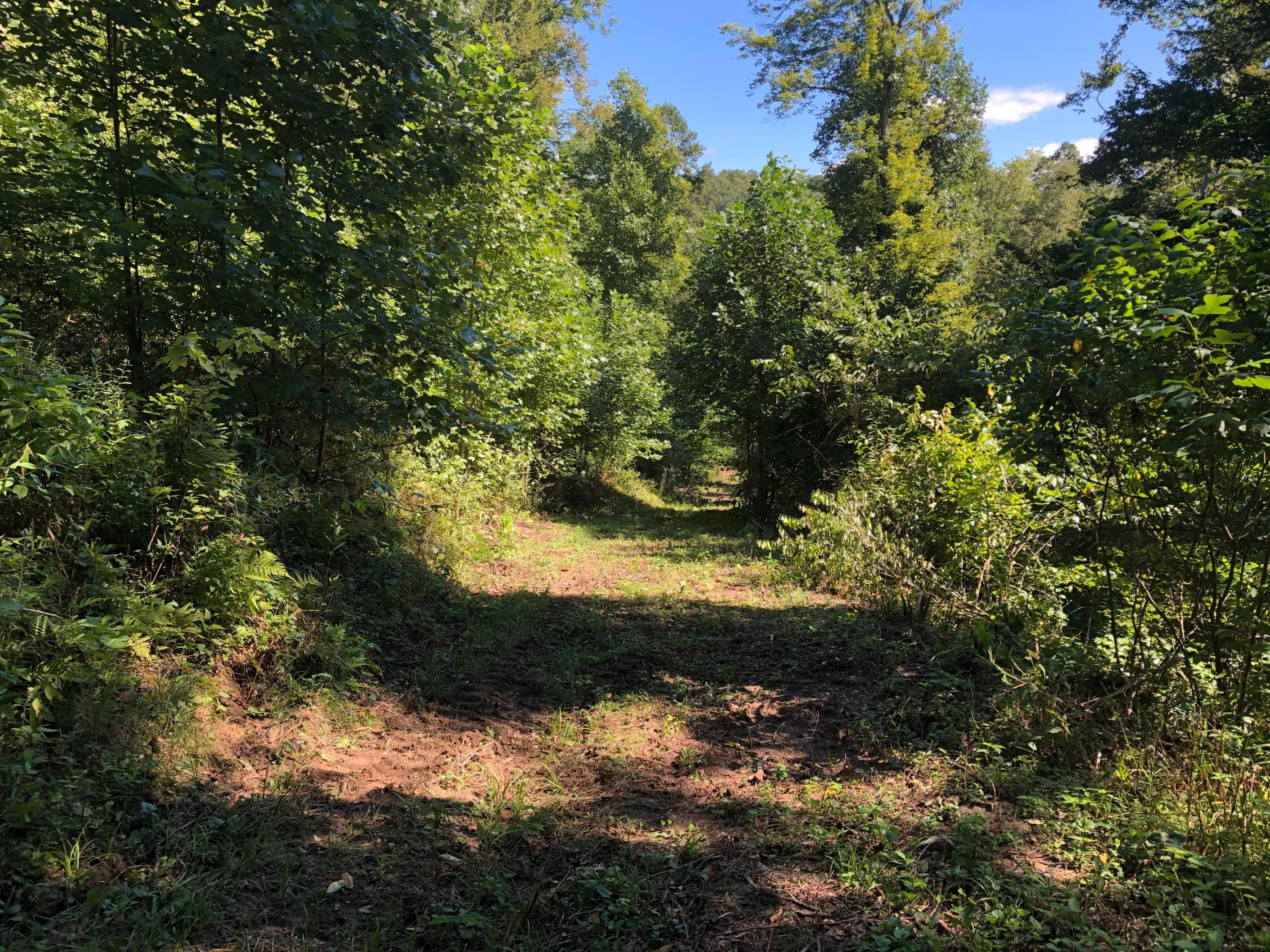 0 Murphy Remy Road Ray, OH 45672 - Photo 22 of 39