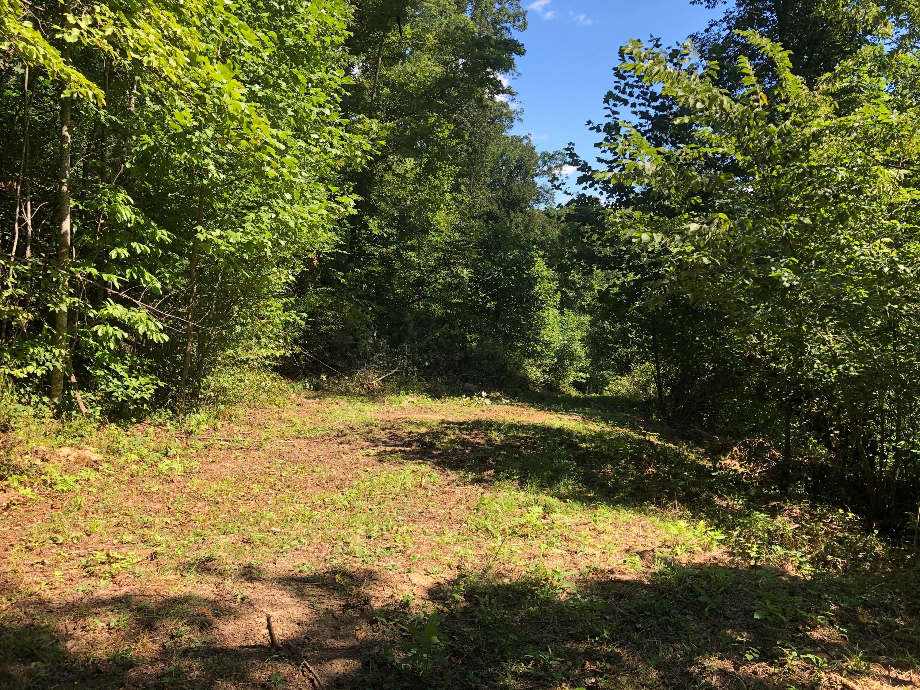 0 Murphy Remy Road Ray, OH 45672 - Photo 23 of 39