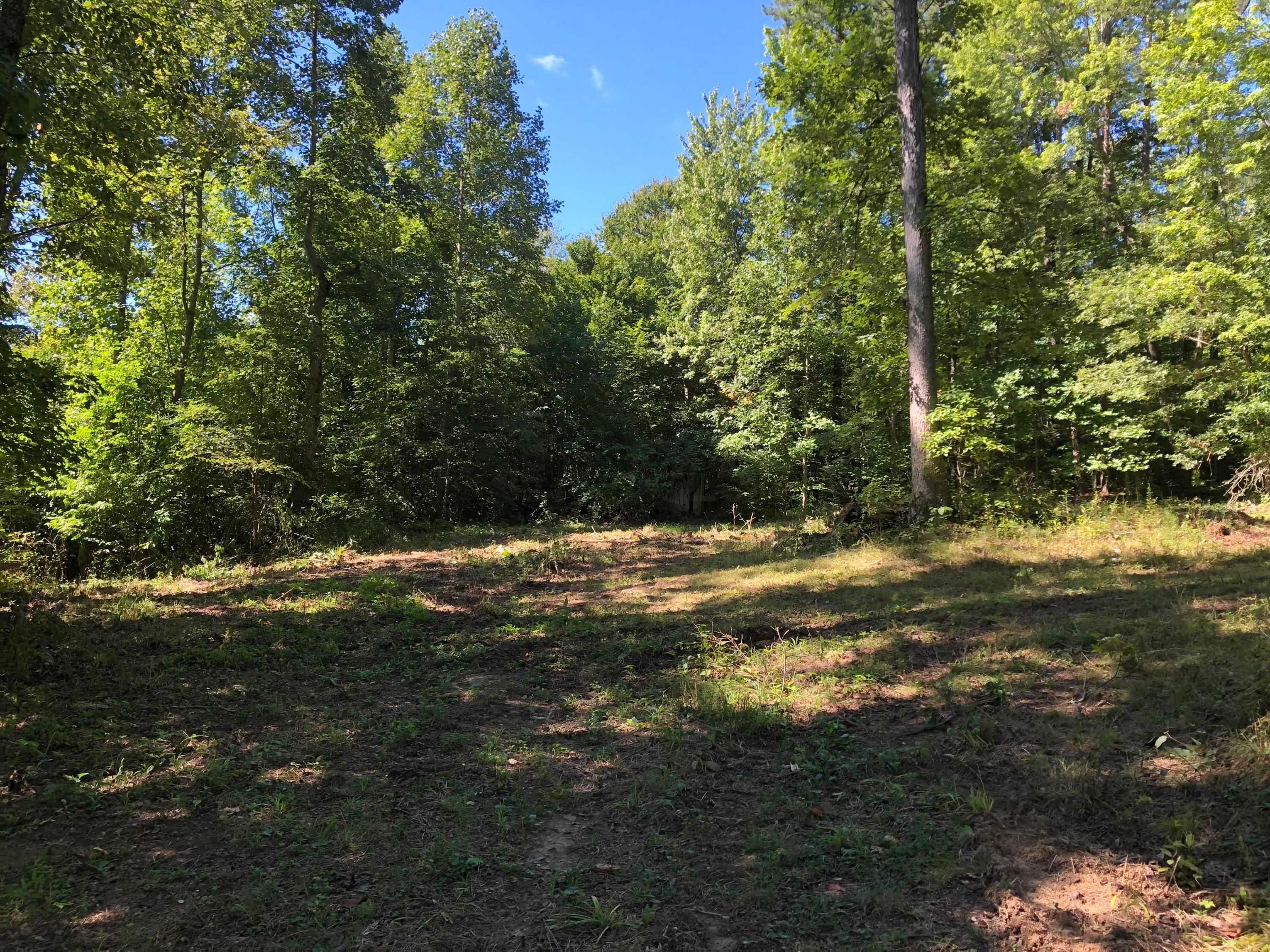 0 Murphy Remy Road Ray, OH 45672 - Photo 24 of 39
