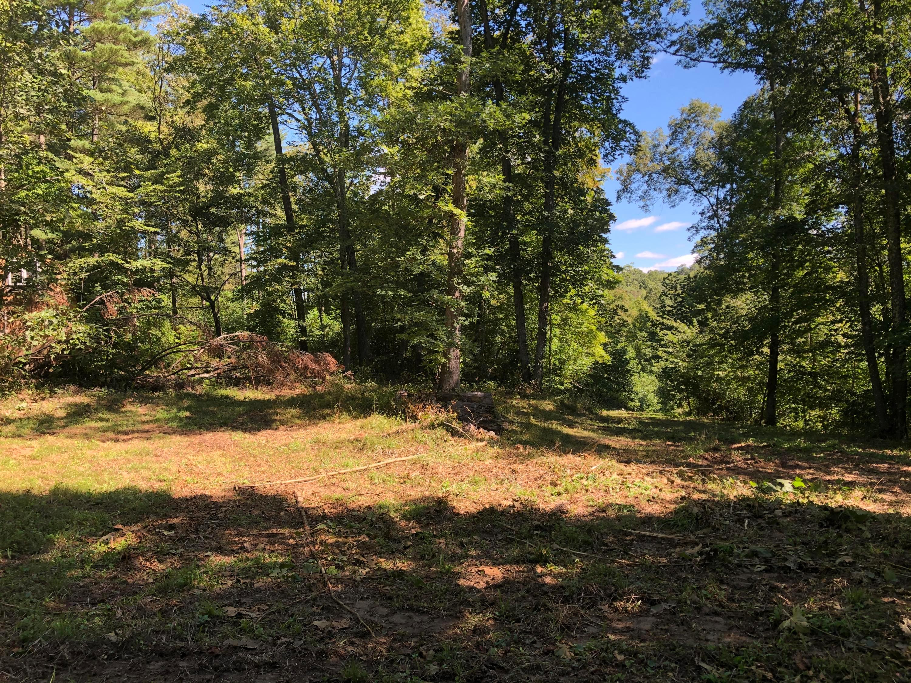 0 Murphy Remy Road Ray, OH 45672 - Photo 25 of 39