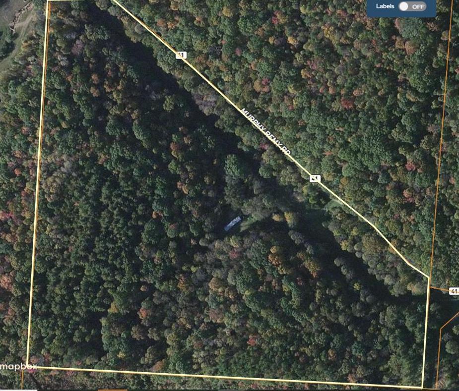 0 Murphy Remy Road Ray, OH 45672 - Photo 32 of 39