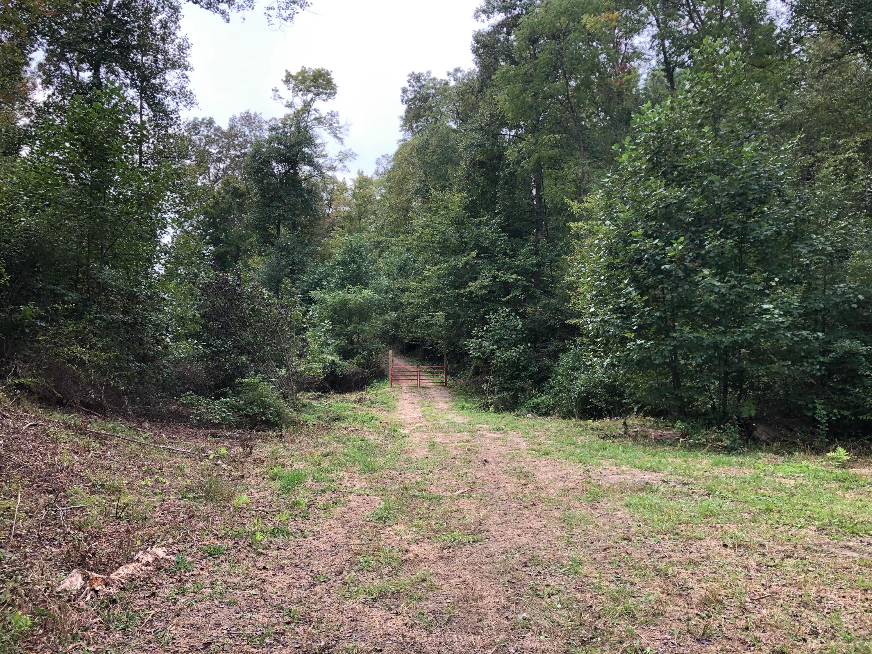 0 Murphy Remy Road Ray, OH 45672 - Photo 37 of 39