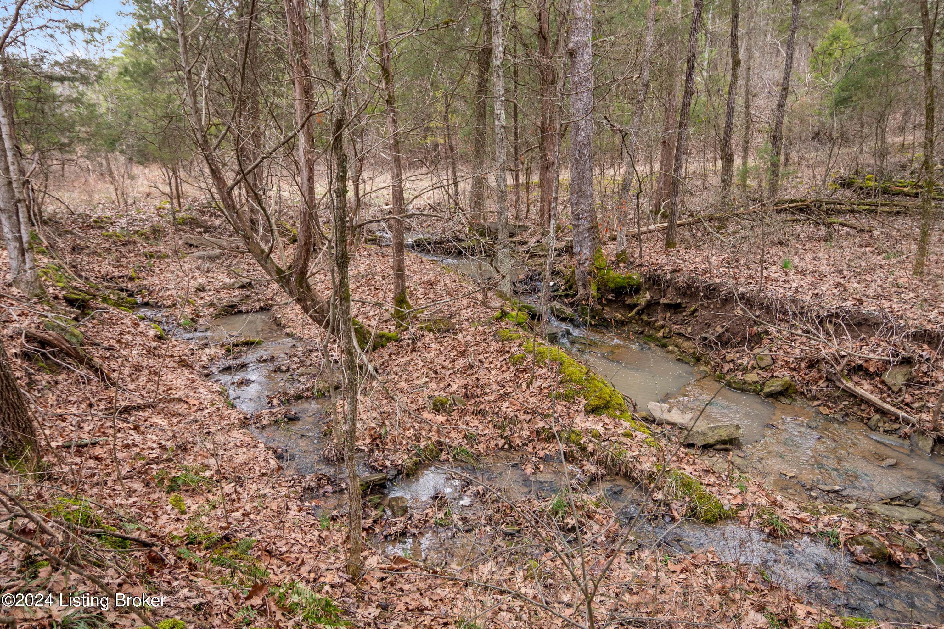 830 Skaggs Road Clarkson, KY 42726 - Photo 48 of 74 830SkaggsRd-49