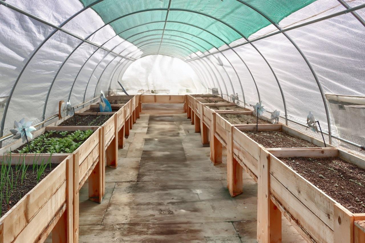 31101 Wyle Ranch Road North Fork, CA 93643 - Photo 42 of 62