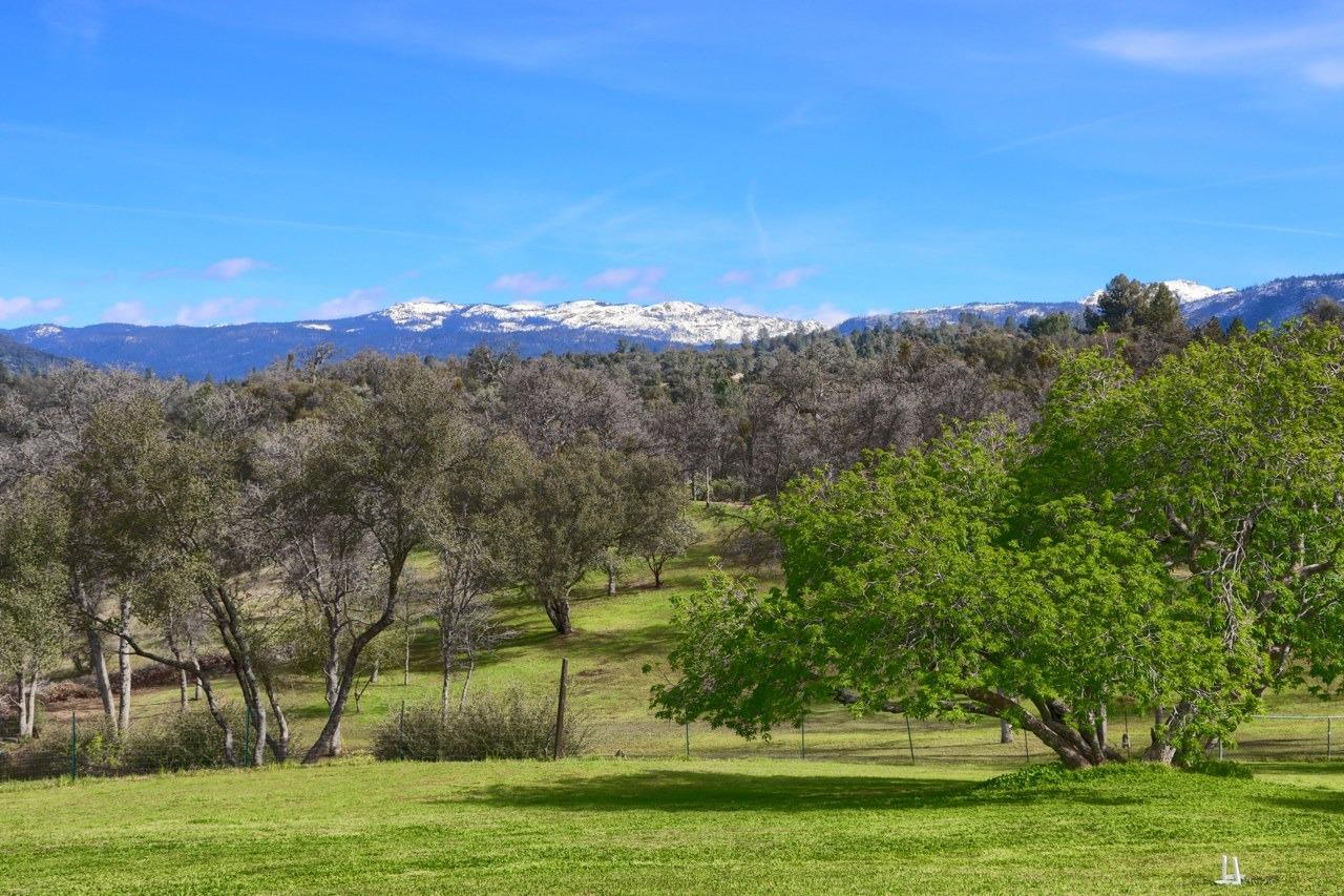 31101 Wyle Ranch Road North Fork, CA 93643 - Photo 49 of 62