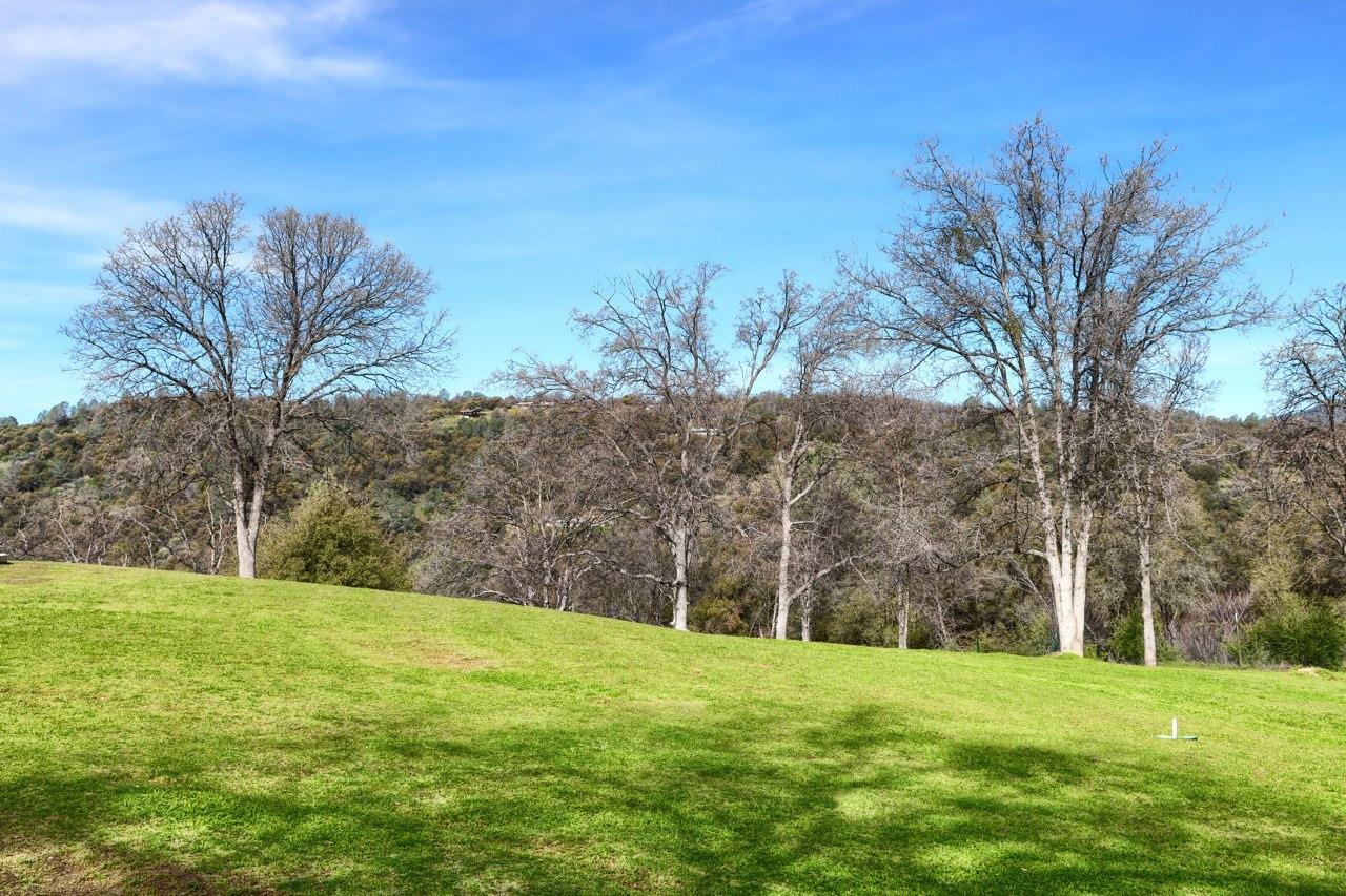 31101 Wyle Ranch Road North Fork, CA 93643 - Photo 51 of 62