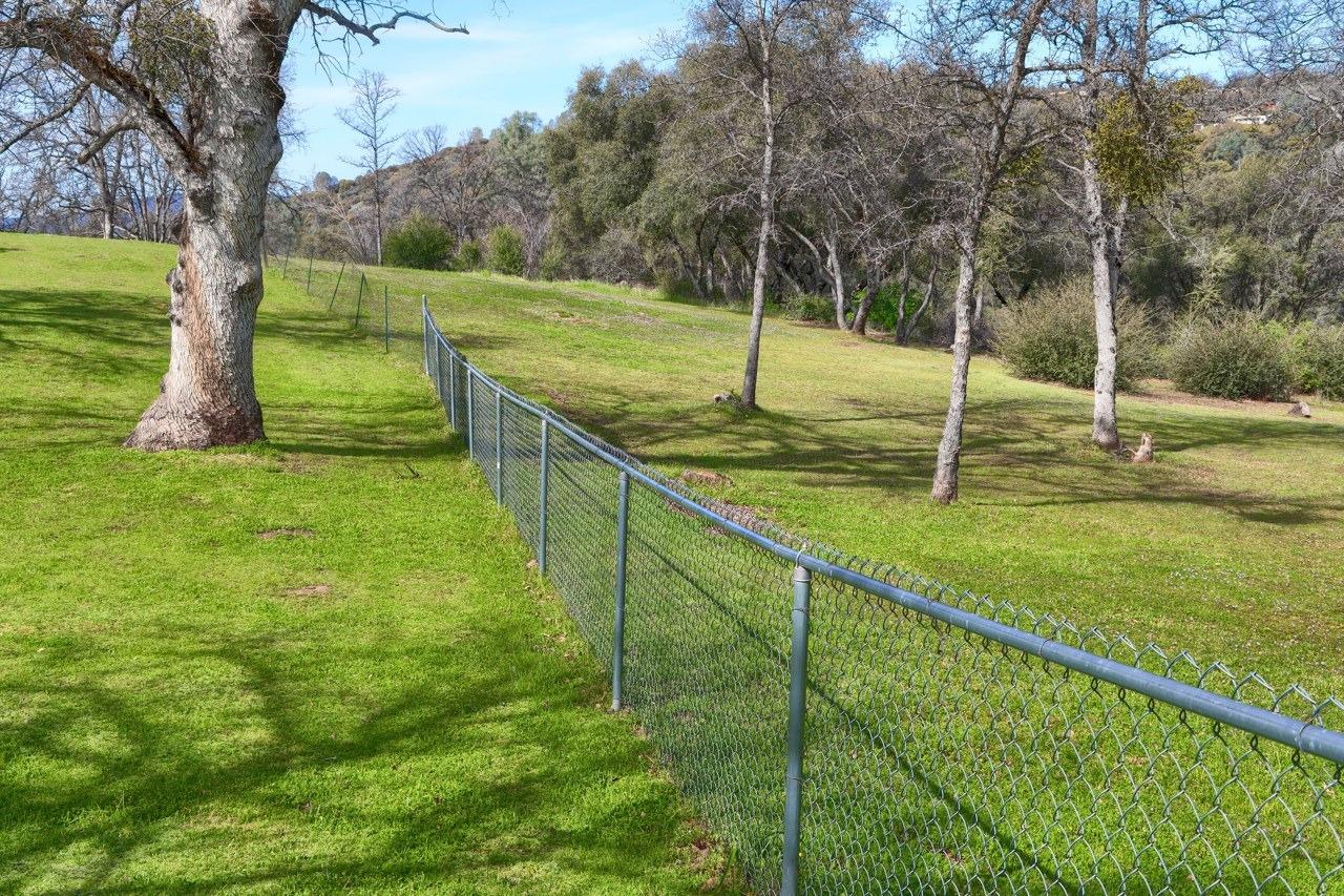 31101 Wyle Ranch Road North Fork, CA 93643 - Photo 53 of 62