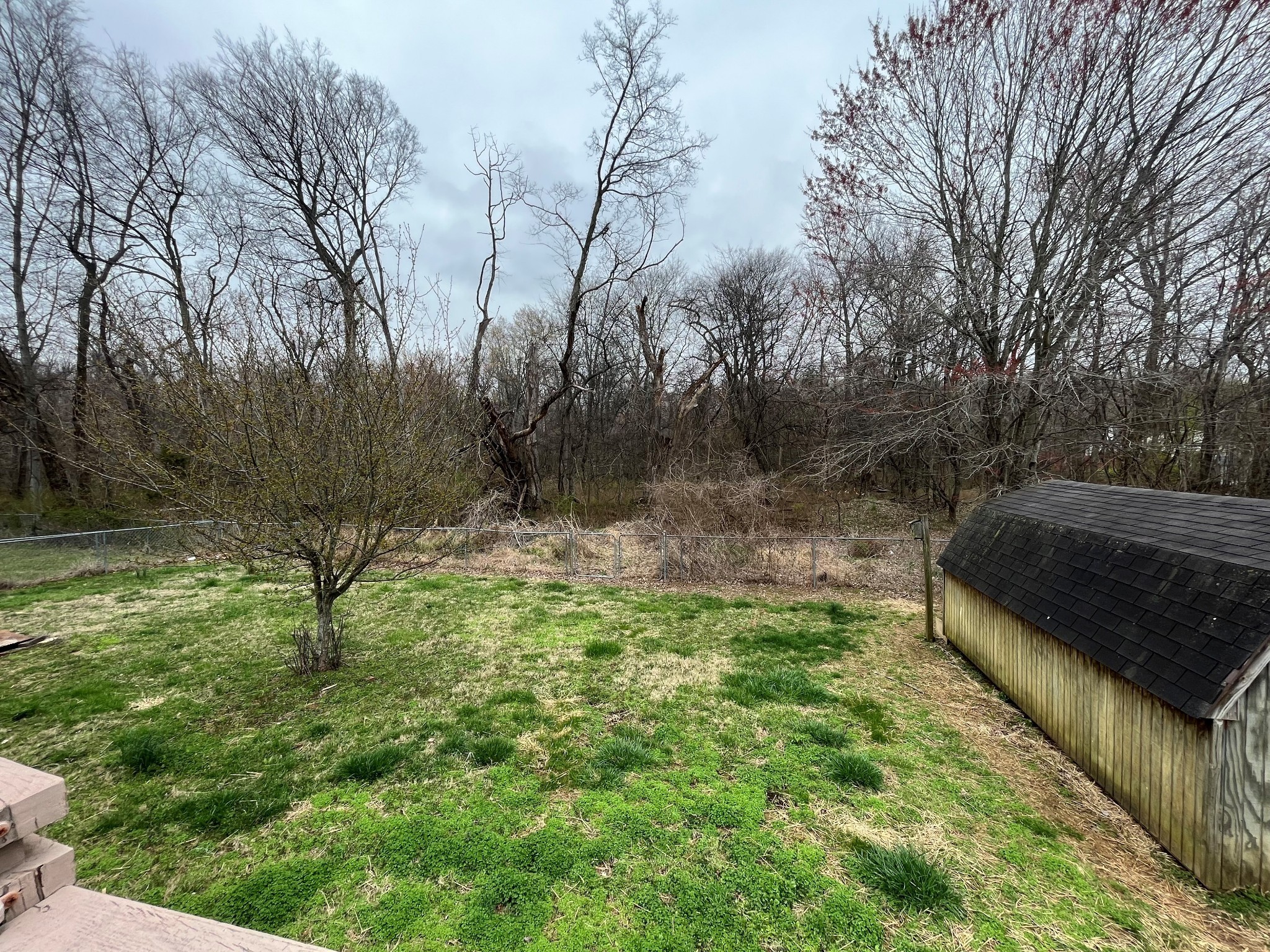 404 Sideline Drive Oak Grove, KY 42262 - Photo 14 of 14 a view of a garden