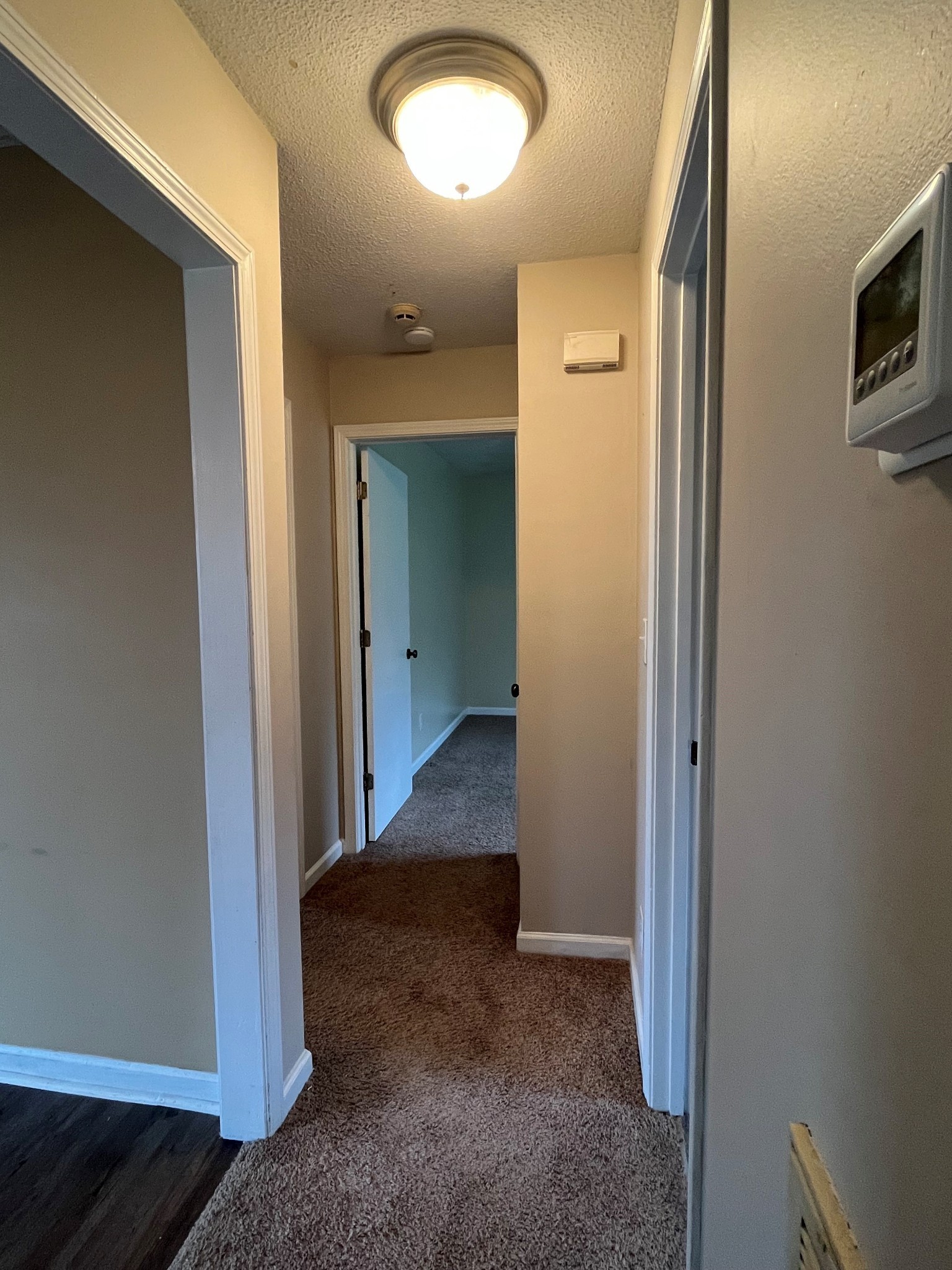 404 Sideline Drive Oak Grove, KY 42262 - Photo 8 of 14 a view of a hallway with wooden floor and a bathroom
