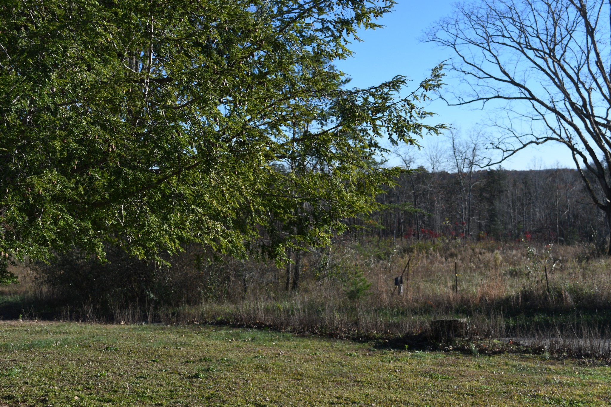 1978 Pryor Ridge Road Tracy City, TN 37387 - Photo 11 of 35 Gallery Image 11