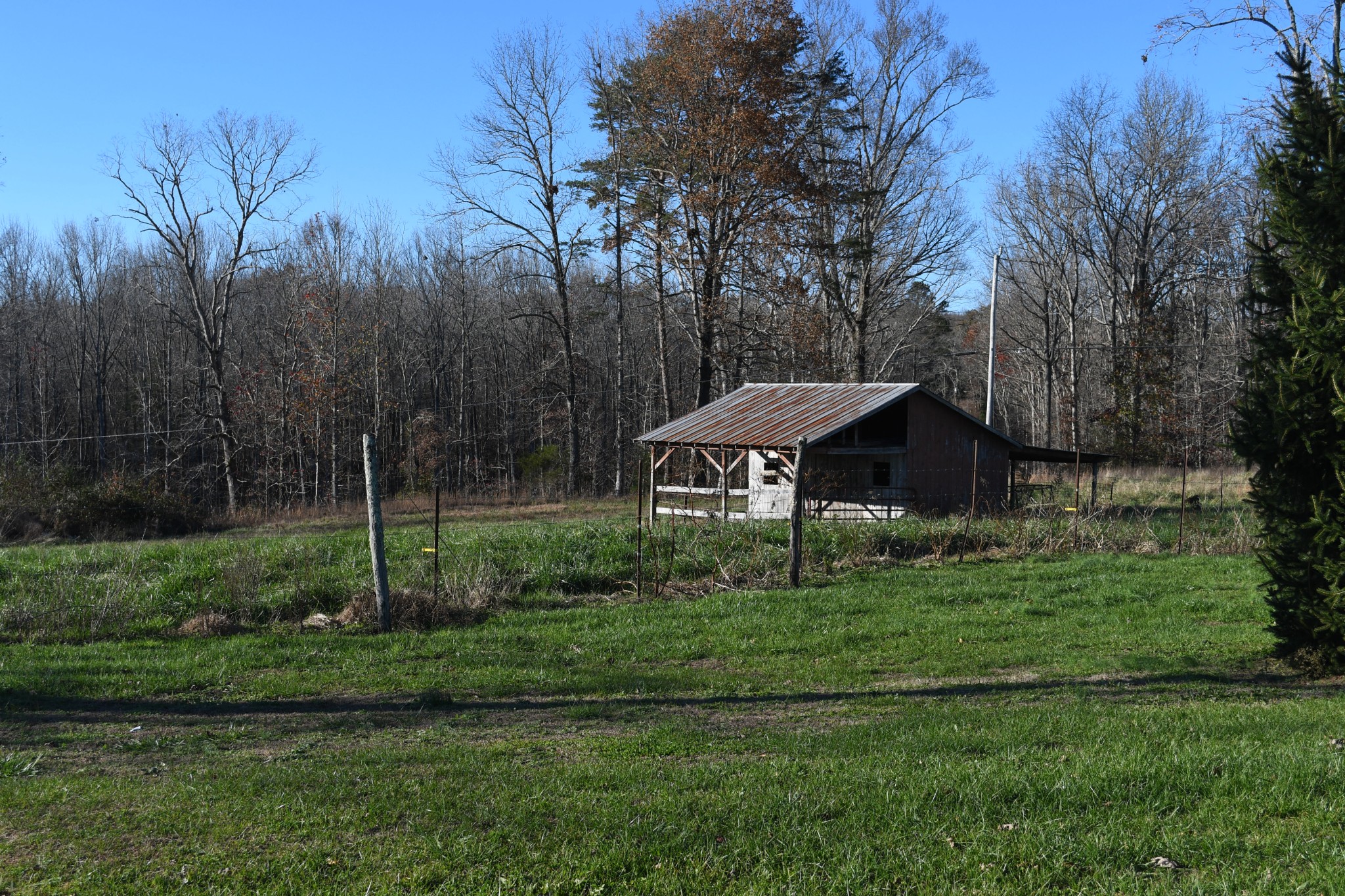 1978 Pryor Ridge Road Tracy City, TN 37387 - Photo 12 of 35 Gallery Image 12