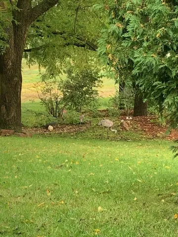 $3,500 | 7426 New Washburn Way, Madison, WI 53719