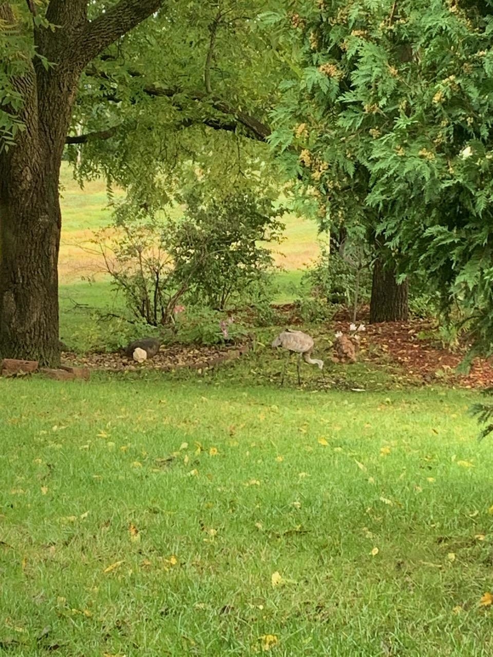 7426 New Washburn Way Madison, WI 53719 - Photo 37 of 38