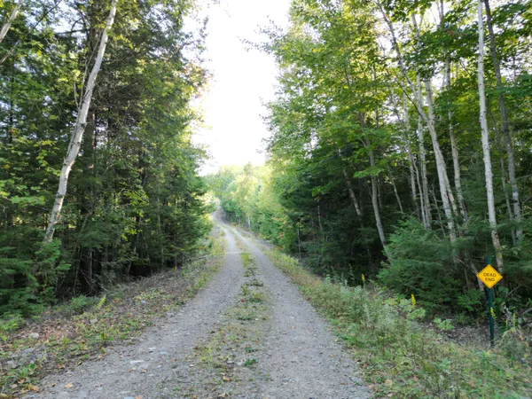 $349,000 | 153 Pine Cone Trail, Lakeville, ME 04487