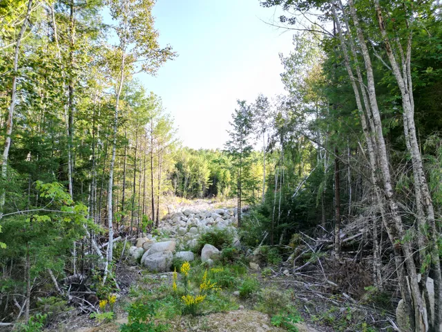 $349,000 | 153 Pine Cone Trail, Lakeville, ME 04487