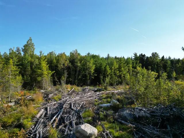 $349,000 | 153 Pine Cone Trail, Lakeville, ME 04487