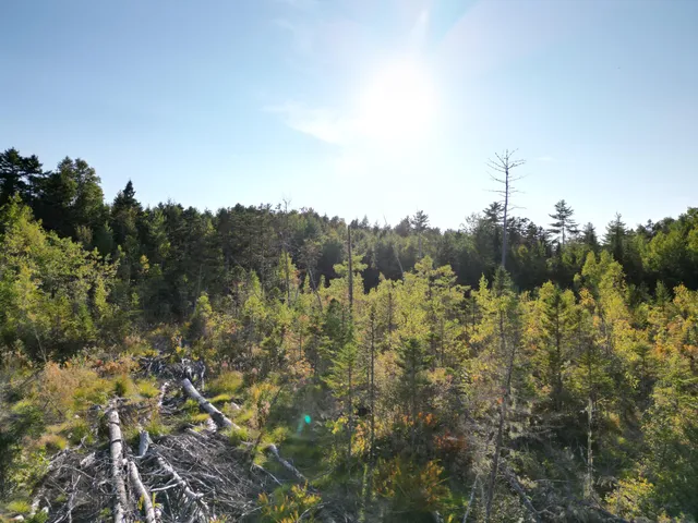 $349,000 | 153 Pine Cone Trail, Lakeville, ME 04487